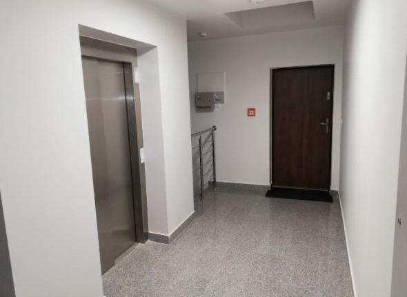 Apartament 80M2 Z 70M2 Tarasem -W Pelni Wyposazony - Wyjatkowe Centrum Miasta Włocławek Extérieur photo